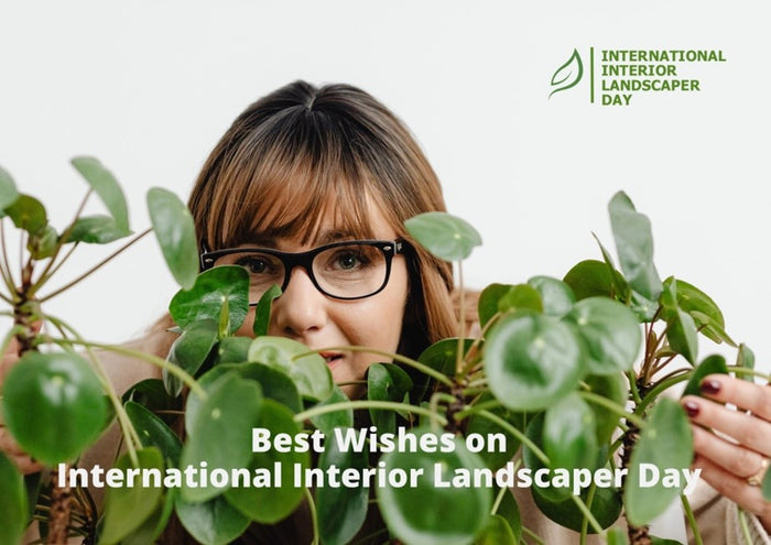 HAPPY INTERNATIONAL INTERIOR LANDSCAPER DAY!🌴💚