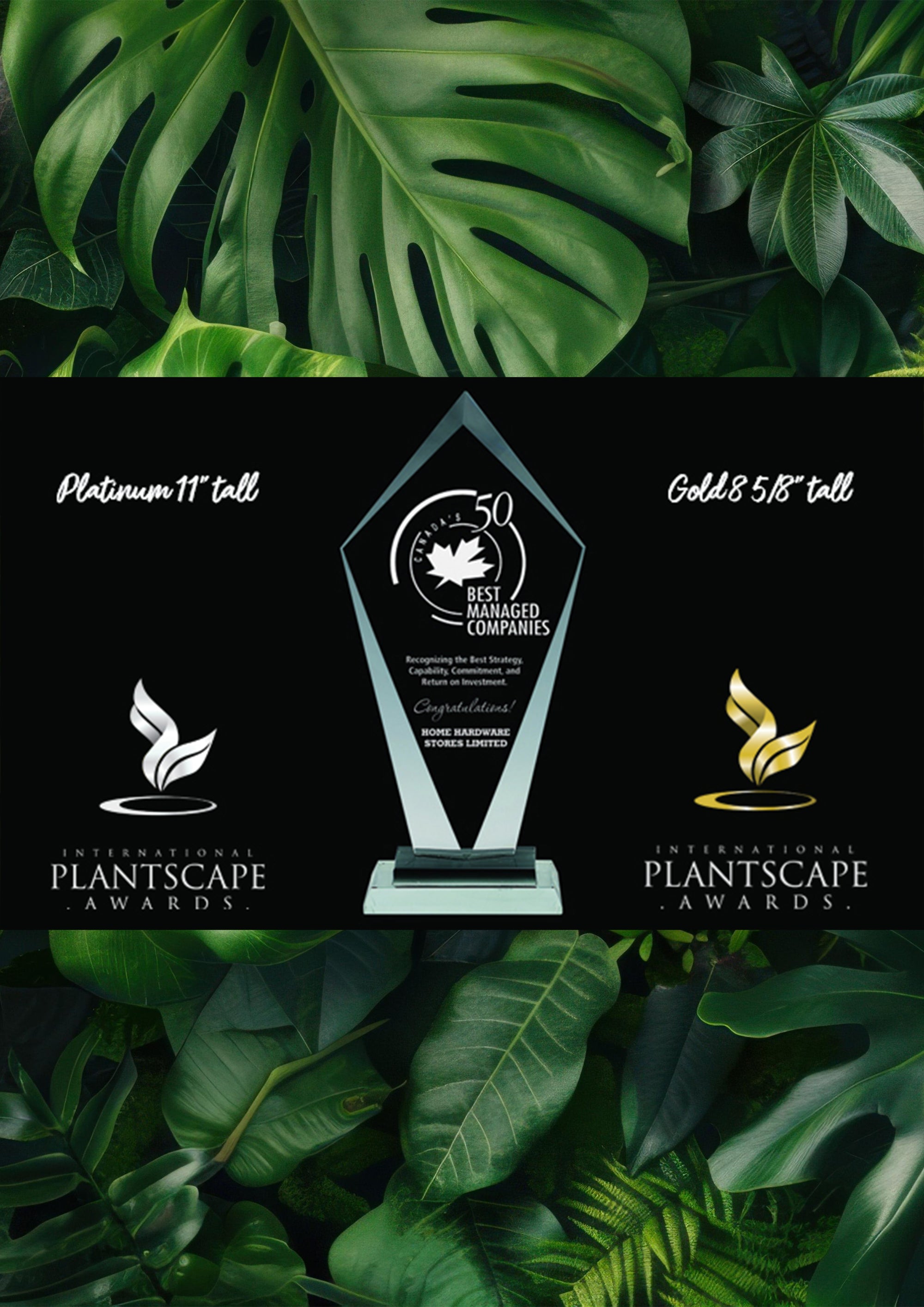 Half Page horizontal W 210mm x H 144mm ad