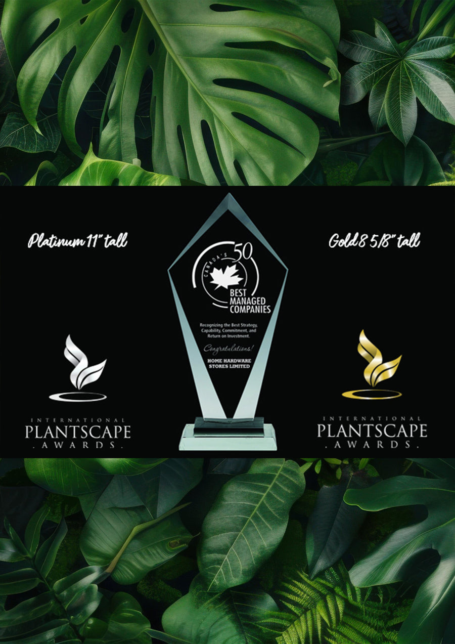 Half Page horizontal W 210mm x H 144mm ad