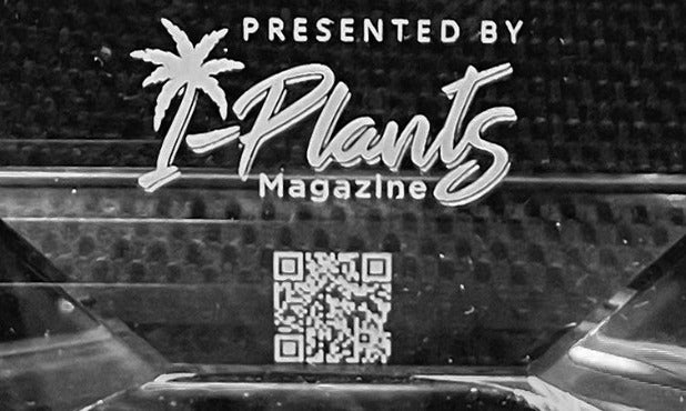 Customized QR code linked to your award project entry designed into a flipbook. QR code is to be scanned on the surface of your award!